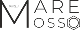 Logo mare mosso